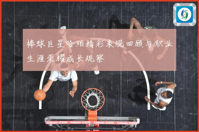 棒球巨星哈珀精彩表现回顾与职业生涯荣耀成长观察